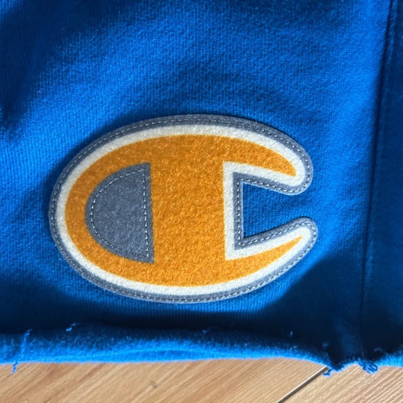 Champion Jersey Shorts - Picture 2 of 4